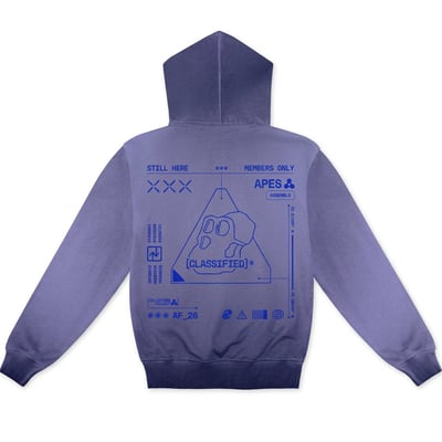 Classified Hoodie - Back